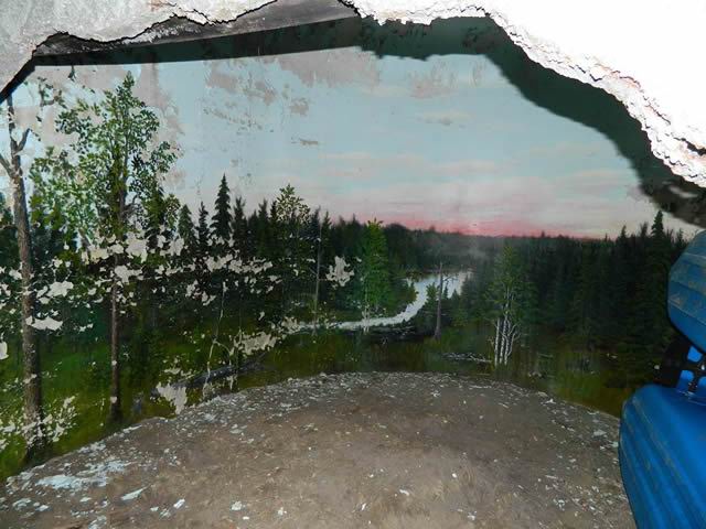 Underground Forest - Summer 2013 From Ron Gross (newer photo)